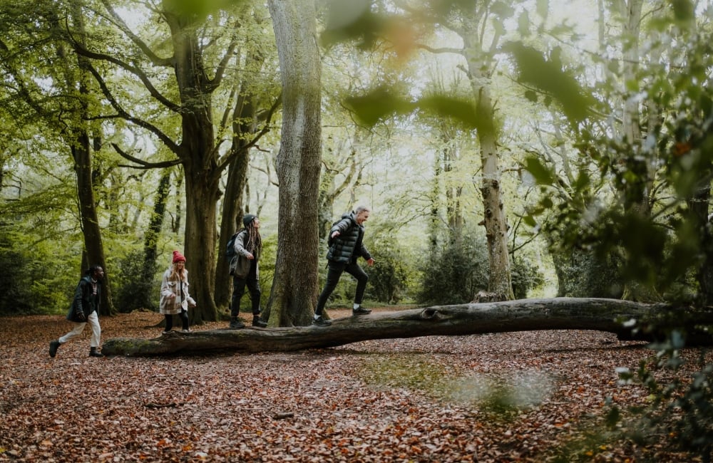 Autumn day walk