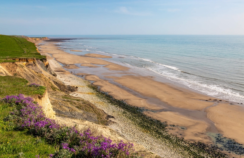 Compton Bay