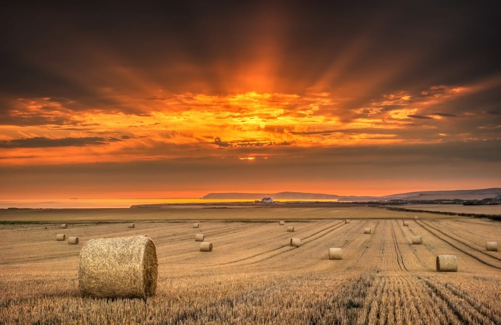 bales of hay under an orange sunset