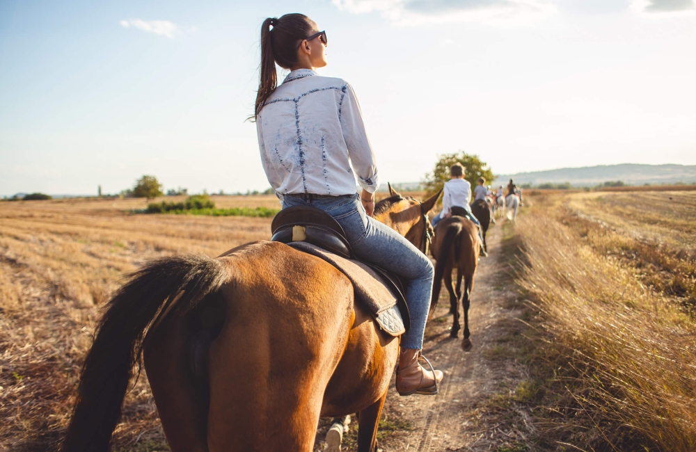 Horse Riding