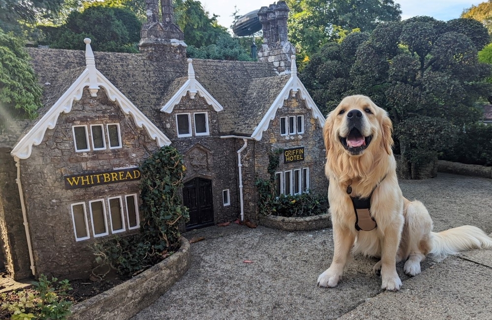 Deku at Godshill Model Village