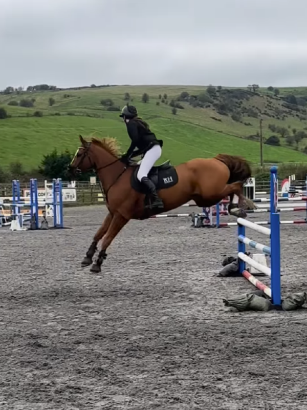 Rubi with Maverick XXI jumping a hurdle