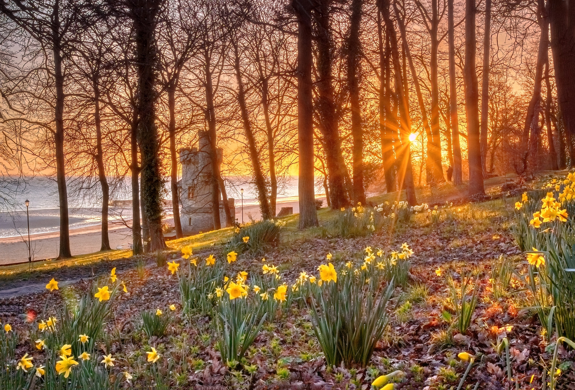 Appley Spring Sunrise