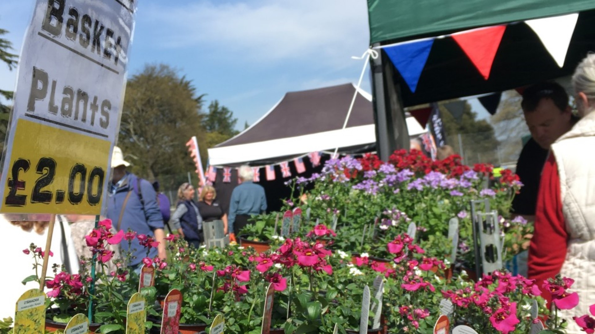 flowers for sale