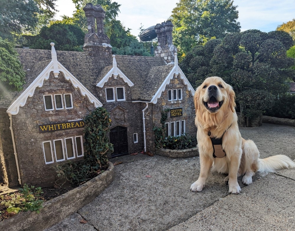 Deku at Godshill Model Village