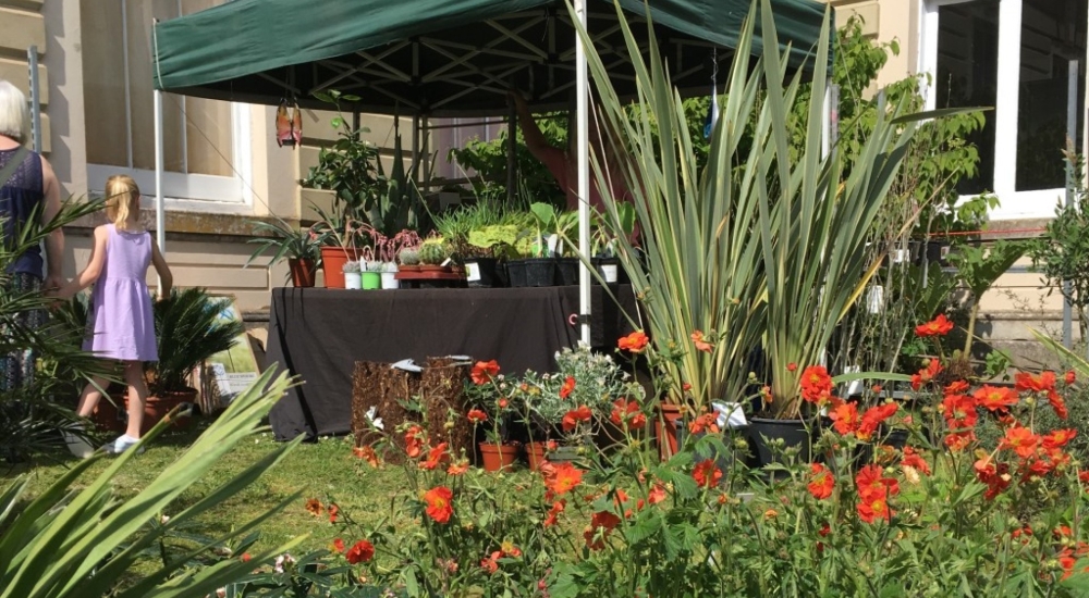 marquee selling flowers