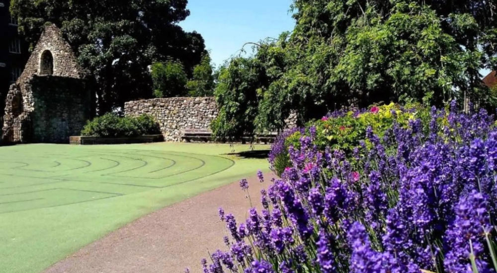 southampton town quay park with lavender in foreground, old town ruins in background